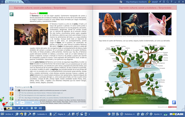 Día del flamenco en el aula - Foto páginas del libro - Palos flamencos