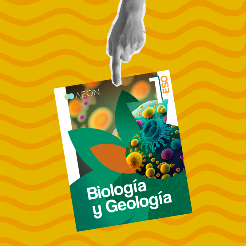 Proyecto Educativo Secundaria