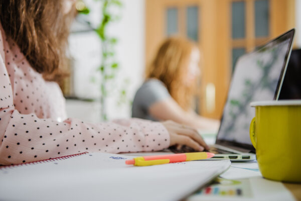 5 WEBS IMPRESCINDIBLES
